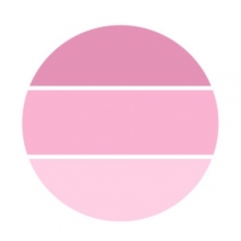 고체 염료-핑크(10g)